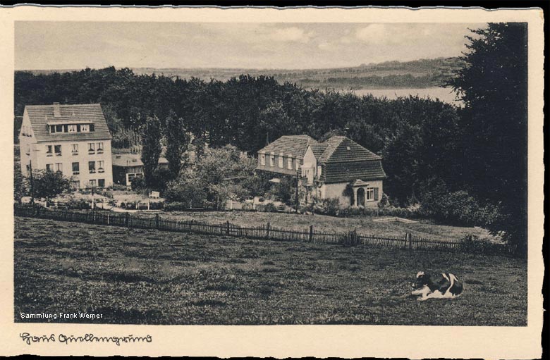 Haus Quellengrund auf einer Postkarte um 1940 (Sammlung Frank Werner)