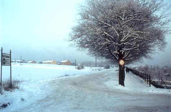 Die Gruitener Straße Weihnachten 1964 (Sammlung Dieter Kraß)