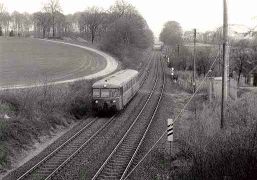 Grünewald Richtung Lüntenbeck (Foto Dieter Kraß)