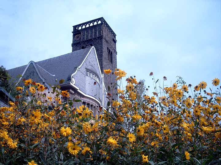 Sommerblumen vor der Evangelischen Hauptkirche Sonnborn am 15. September 2005