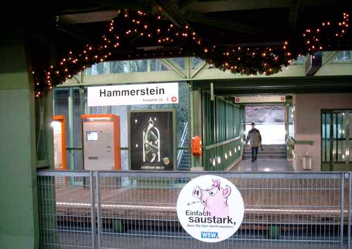 Einfach saustark im Dezember 2002